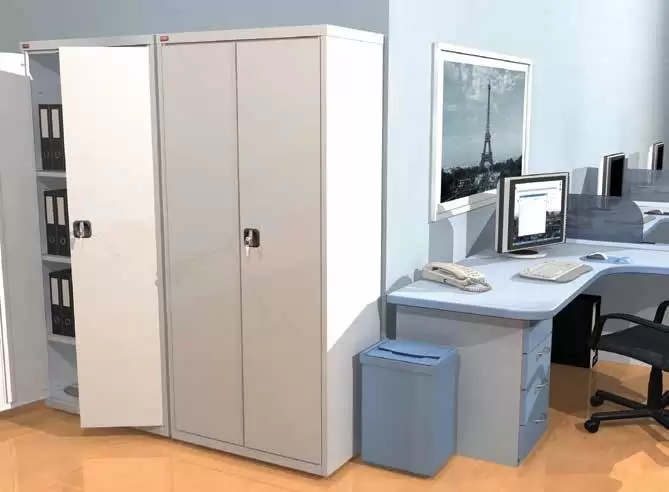 Архивный шкаф ШАМ-11